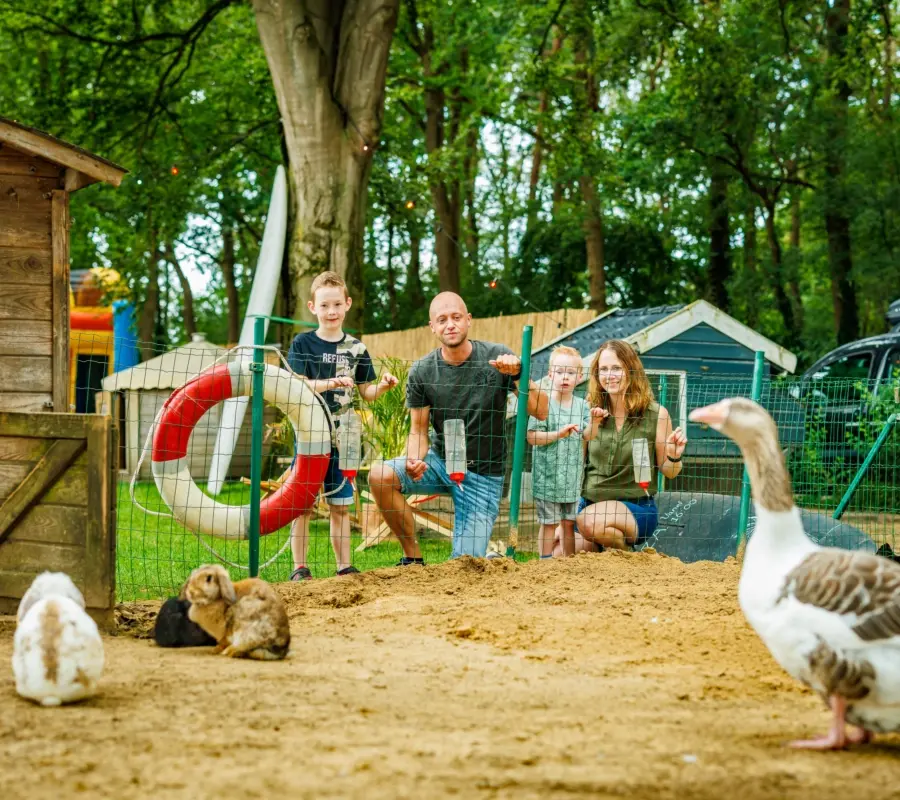 Luttenberg gezin dieren buiten