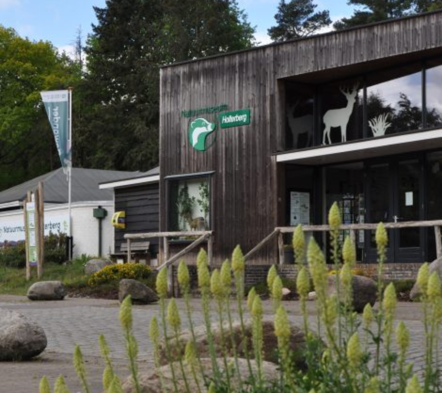 Natuurmuseum holterberg